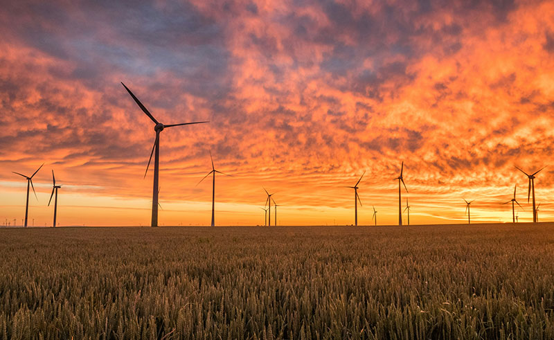 Powering Past Coal – State of Global Action 2022 