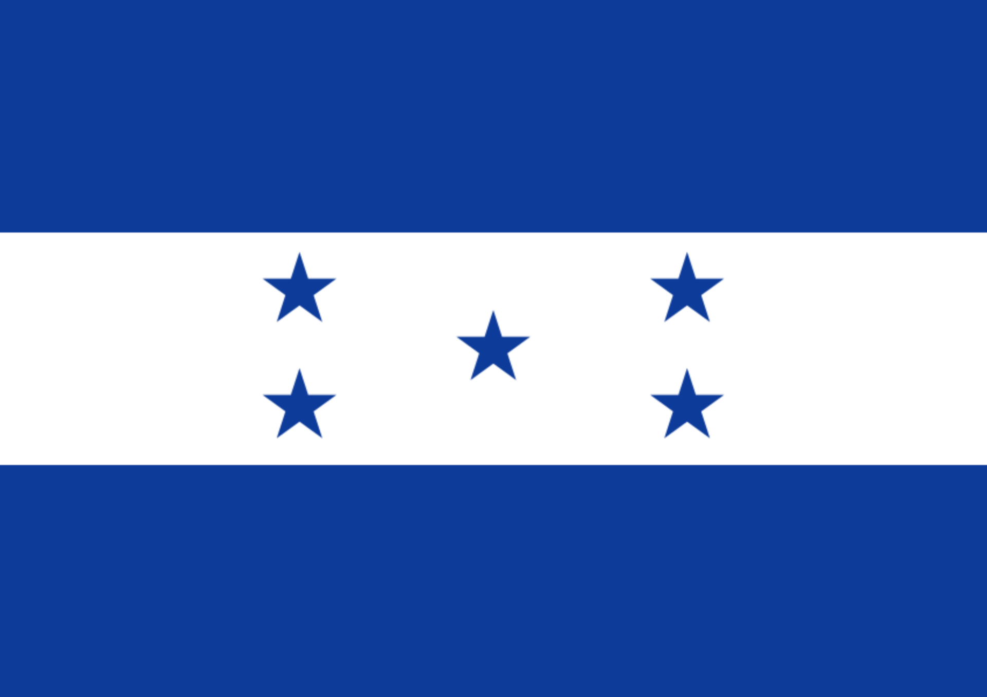 PPCA Member FlagsLogos