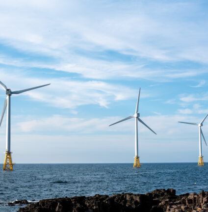 Wind generator turbine built on the sea